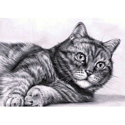 Broderie diamant Diamond Painting Le réveil du chat