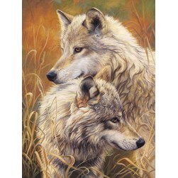 Broderie diamant Diamond Painting Les loups de la prairie