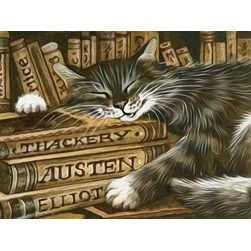 Broderie diamant Diamond Painting Le chat libraire