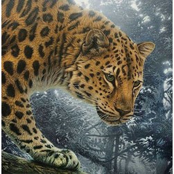 Broderie diamant Diamond Painting Chasseur de la jungle