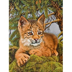 Broderie diamant Diamond Painting Bébé lynx