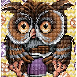 Broderie diamant Diamond Painting La chouette aux grands yeux