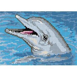 kit Point de croix Bruno D'Artois Rire du dauphin