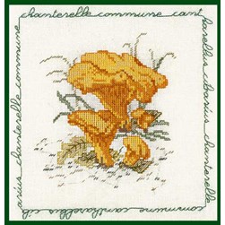 kit Point de croix Le Bonheur Des Dames Les champignons chanterelle commune