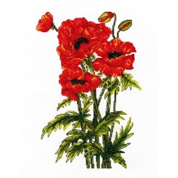 kit Point de croix DMC Brin de coquelicots