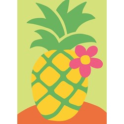 kit Canevas - Gros trous DMC Ananas coquet