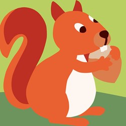 kit Canevas - Gros trous DMC La noisette de l'écureuil
