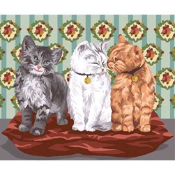 Canevas DMC Chatons tricolores