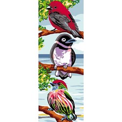 Canevas Luc Création Trio d'oiseaux des îles