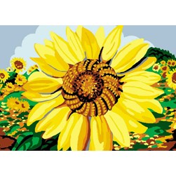 Canevas Luc Création Couleur tournesol