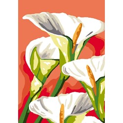 Canevas Luc Création La blancheur des arums