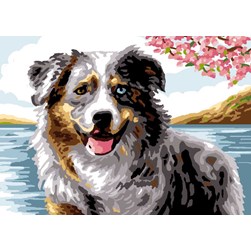 Canevas Luc Création Berger Australien aux yeux bicolores