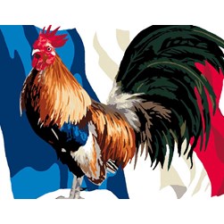 Canevas Luc Création Le coq patriote