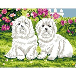 Canevas Luc Création Bichons blancs