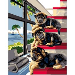 Canevas Luc Création Les chien sur les marches