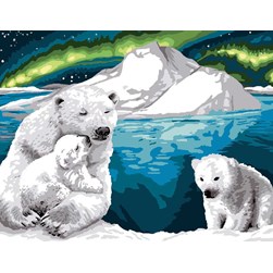 Canevas Luc Création L'aurore boréale des ours blancs