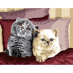 Canevas Luc Création Chats rêveurs sur l'oreiller