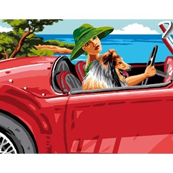 Canevas Luc Création Ballade en décapotable