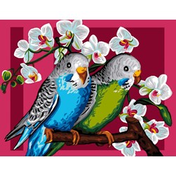 Canevas Luc Création Des perruches et des orchidées