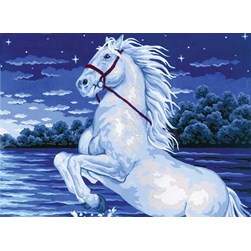 Canevas Collection d'art Le cheval de la lune