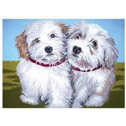 Canevas Collection d'art Deux bichons amis