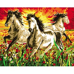 Canevas Collection d'art Les 3 étalons fougueux