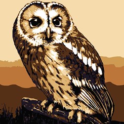 kit Canevas - Gros trous Collection d'art La chouette sur la souche