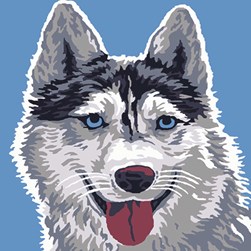 kit Canevas - Gros trous Collection d'art Yusky aux yeux bleus