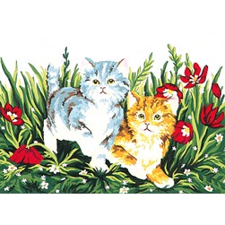 Canevas Collection d'art Chatons angoras