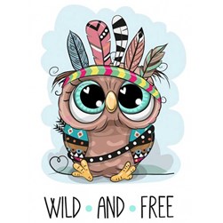 Broderie diamant Collection d'art Chouette indienne