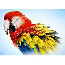 Broderie diamant Collection d'art Perroquet dans les nuages