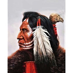 Broderie diamant Collection d'art The cacique