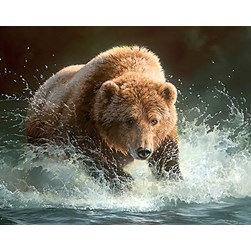 Broderie diamant Collection d'art L'ours à la pêche