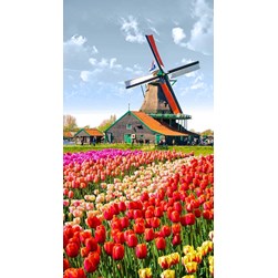 Broderie diamant Collection d'art Le moulin du champ de tulipes