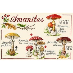 Fiche Point de Croix Anagram Diffusion Collection d'amanites