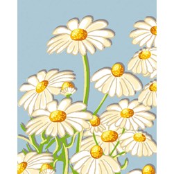 kit Canevas - Petits trous Luc Création Douces marguertites