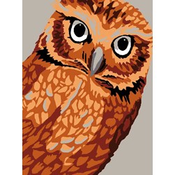 kit Canevas - Petits trous Luc Création Regard perçant du hibou brun