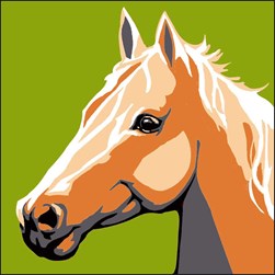 kit Canevas - Gros trous Luc Création Cheval à la crinière d'or