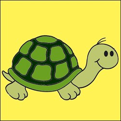 kit Canevas - Gros trous Luc Création La carapace de la tortue