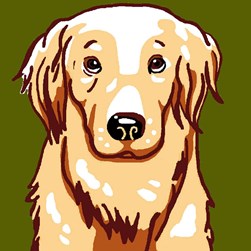 kit Canevas - Gros trous Luc Création Labrador tout penaud