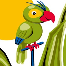 kit Canevas - Gros trous Luc Création Un perroquet bavard