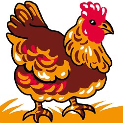 kit Canevas - Gros trous Luc Création Une poule brune