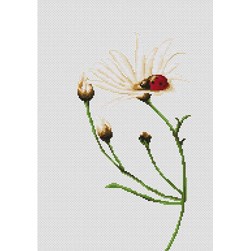 kit Point de croix Luca-S La margueritte à la coccinelle