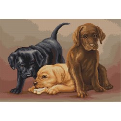 kit Point de croix Luca-S Labradors tri couleurs