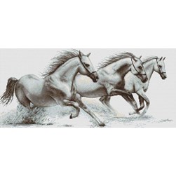 kit Point de croix Luca-S Trio de chevaux blanc galopant