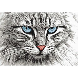 kit Point de croix Marie Coeur Le regard azur du chat angora