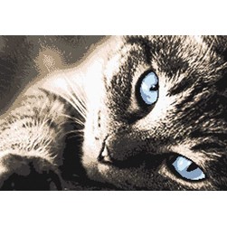 kit Point de croix Marie Coeur Chat tigre