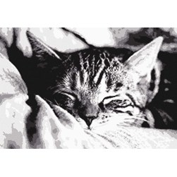 kit Point de croix Marie Coeur Le repos du chat