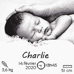 Broderie naissance Marie Coeur Mon tendre bébé