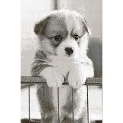kit Point de croix Marie Coeur Un chiot à chérir